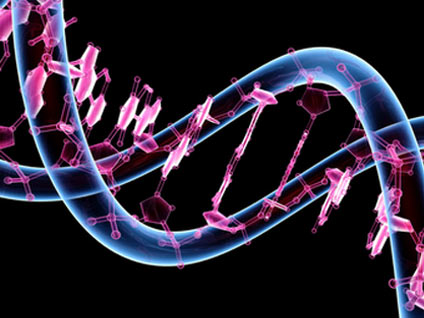 Genetik faktörler kolesterolde yüzde 100 rol oynar mı?