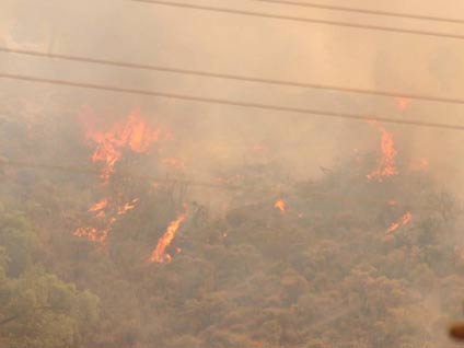 Heybeliada'da korkutan yangın