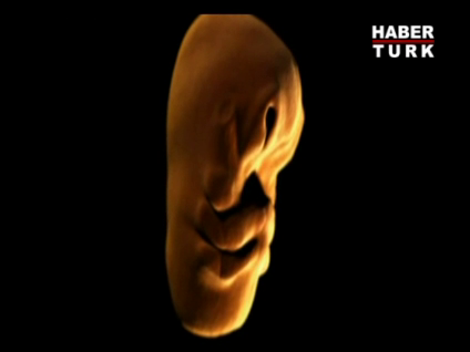 Yüzümüz böyle oluşuyor!