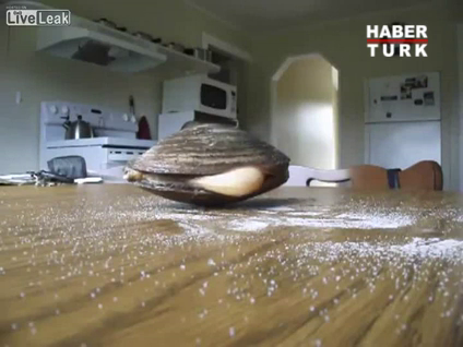 Yok böyle bir şey!