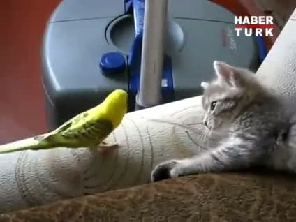 Boyuna bakmadan kafa tuttu!