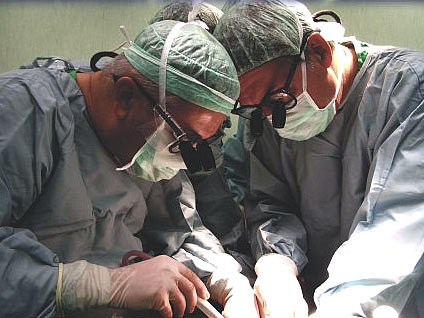 Çapraz nakillerin avantajı nedir?