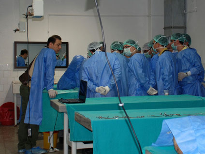 Karaciğer yetmezliğine neler sebep olur?