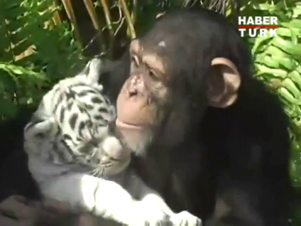 Sevimli arkadaşlık!