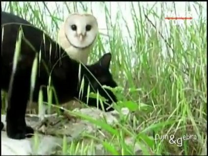 Hayran bırakan dostluk!