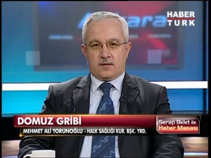 Türkiye'de domuz gribi salgını mı var?