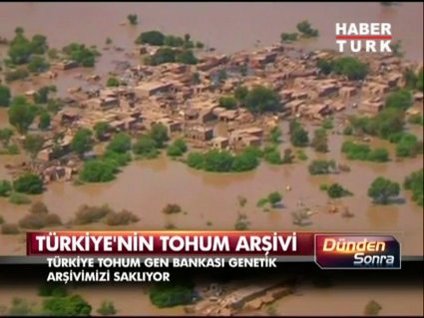 Geleceğin en değerli hazinesi