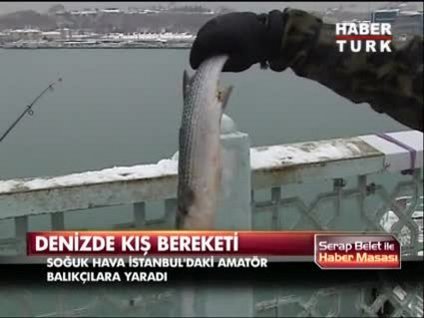 Eminönü'ndeki balıkçılar bayram ediyor!