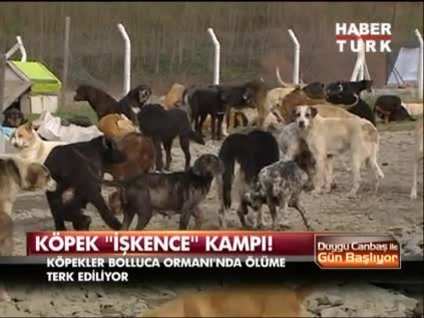 Ölüm barınağı!