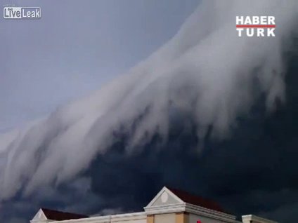 Böylesini hiç görmediniz!