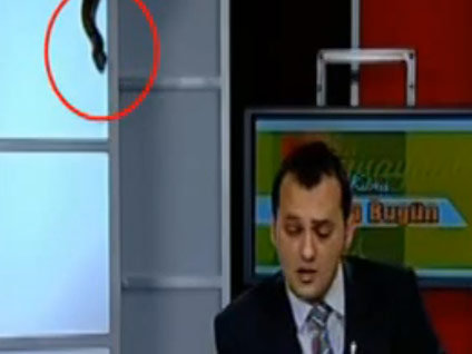 Stüdyoya yılan girdi!