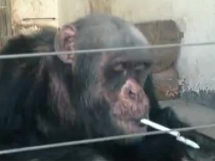 İzleyenler gözlerine inanamadı!