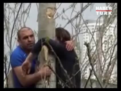 Bu adam ağaçta ne yapıyor?