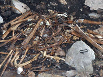 Bu kemikler kime ait?