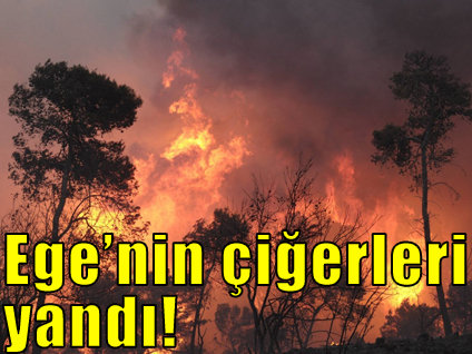 Manisa'da orman yangını!