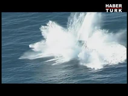 Kuzeye göçen balinaların şovu