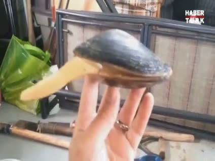 Gözlerinize inanamayacaksınız