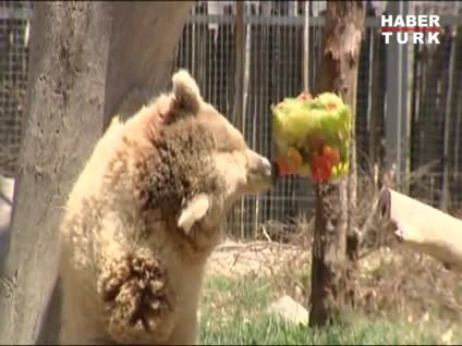 Doğal Yaşam Parkı'nda menü değişti