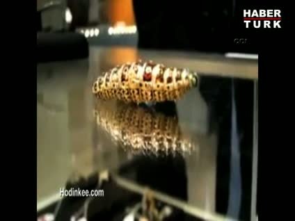 Bu 'tırtıl'ın fiyatı 580 bin TL