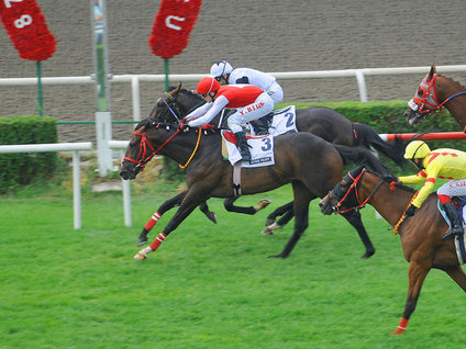 87. Gazi Koşusu şampiyonu Divine Heart