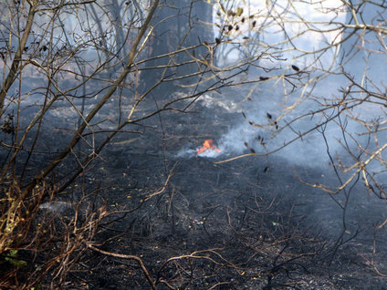 Bir haftada aynı yerde 4. yangın!