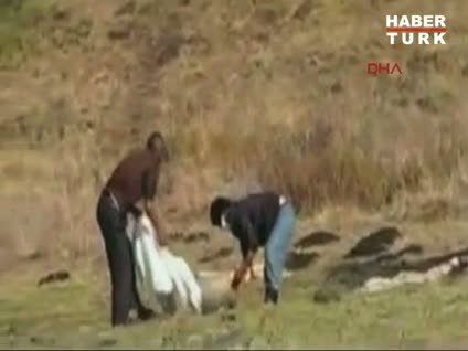 Dehşete düşüren görüntüler!