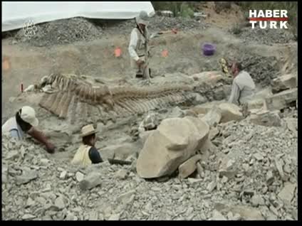 Meksika'da yüzyıllar öncesinden kalma fosil bulundu