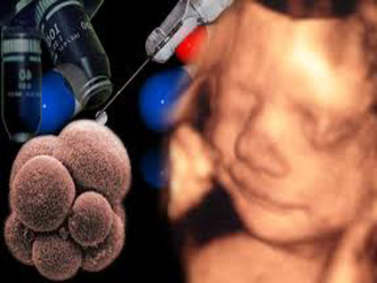 "Tüp bebeklerin yarısı gereksiz yere yapılıyor"