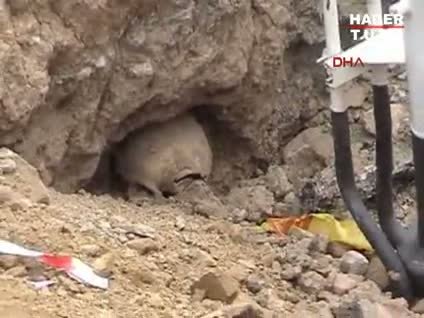 Doğalgaz kazısında şok!