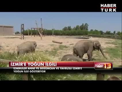 İzmir'de Doğal Yaşam Parkı'na yoğun ilgi