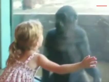 Küçük kızın sevimli gorille komik oyunu