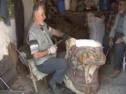 Semercilik unutuluyor