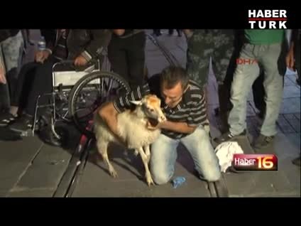 İstiklal'de bir kuzu