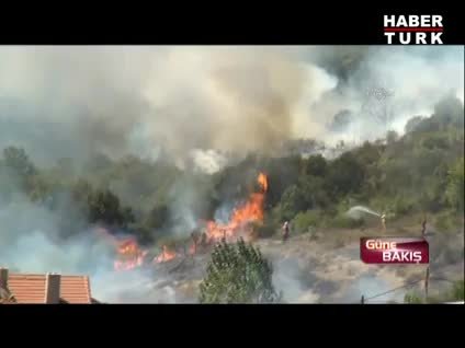 Beykoz'da orman yangını
