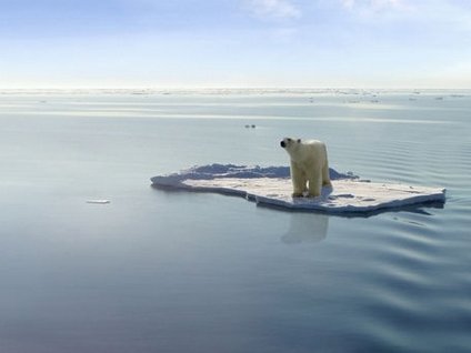 "Küresel ısınma yavaşladı"