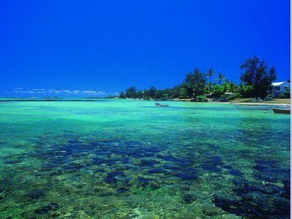 Mauritius Adası'nın umudu Türkiye
