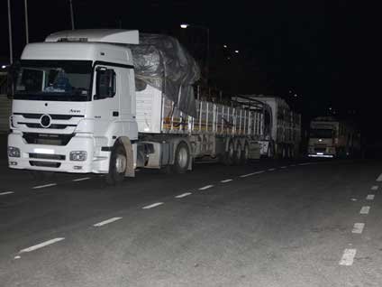 Kurbanlıklar İstanbul'a geldi