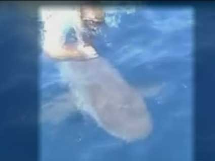 İzleyenlerin yüreği ağzına geldi