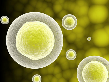 İşte Türkiye'nin kanser karnesi