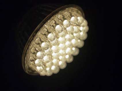 Türk bilim adamları bakteriden enerji üretti