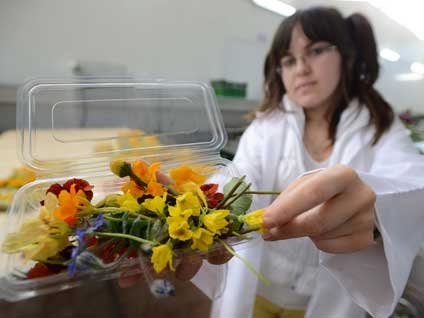 Şaka değil sosyeteye çiçek yediriyor