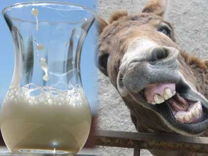 Eşek sütünün akla ziyan faydaları