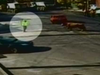 Birazdan olacaklara inanamayacaksınız