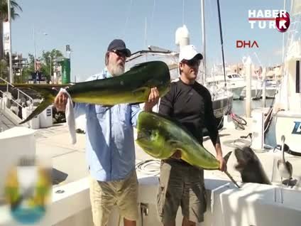 Balıkçılar yakaladı o çaldı