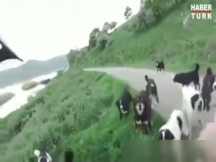Bisiklet sürücüsünün korku dolu anları