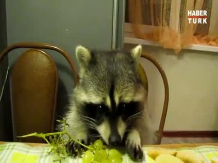 Böyle iştah görülmedi!