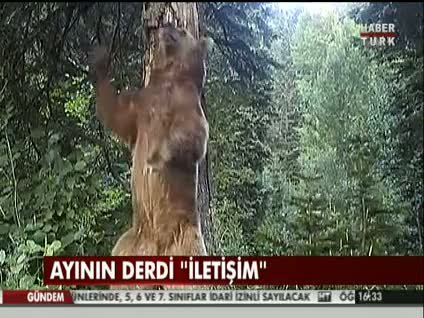 Ayının derdi 'iletişim'