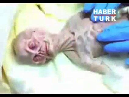 Dünyayı karıştıran görüntü