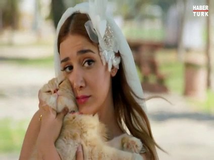 Kedi Özledi film fragmanı