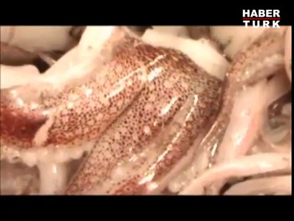 Öldükten sonra bile!